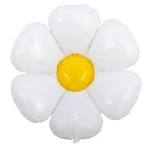 گل بابونه سفید